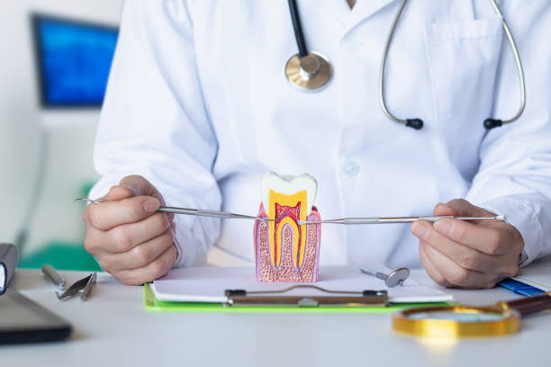 Best Emergency Dentist for Lost Fillings or Crowns in Clearlake Oaks, CA
